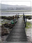 Morro Bay dock at low tide Morro Bay dock at low tide