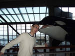 Brett gets attacked by an orca... Brett gets attacked by an orca...