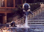 kasatka-nakai.jpg kasatka-nakai.jpg