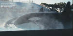 splash-keet-slideout.jpg splash-keet-slideout.jpg