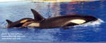 Takara and Kohana Takara and Kohana
