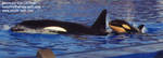 Takara and Kohana Takara and Kohana