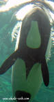 1 1