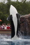 9551 - Kiska 9551 - Kiska