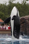 9552 - Kiska 9552 - Kiska