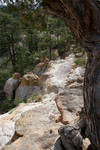 Cliffs Cliffs