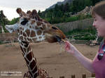 Me feeding Madora Me feeding Madora