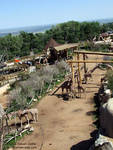 The giraffe exhibit The giraffe exhibit