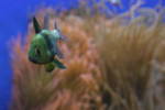 IMG 2340 IMG 2340