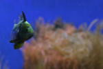 IMG 2341 IMG 2341